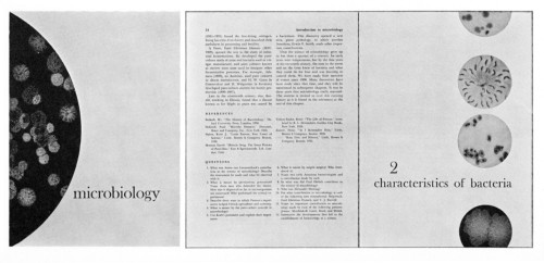 Microbiology