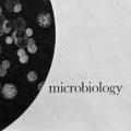 Microbiology