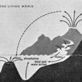 The Science of Biology