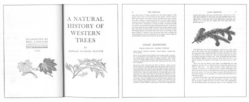 A Natural History of Western Trees