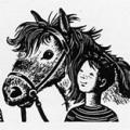The Pony That Ran Away