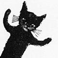 The Theater Cat