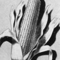 Corn Products 45th Annual Report
