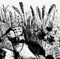 Fables From Aesop