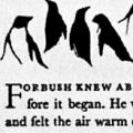 Forbush and the Penguins