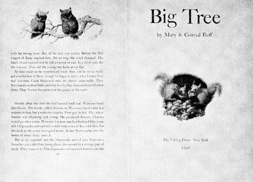 Big Tree