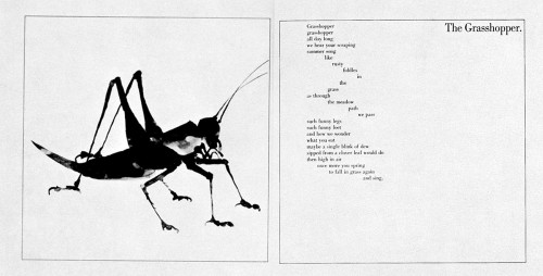 Cats and Bats and Things With Wings