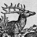 Joseph Wood Krutch Herbal