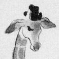 The Gentle Giraffe