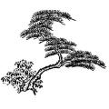 The Art of Japanese Gardens