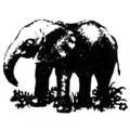 Kongo the Elephant