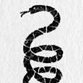 The Hidden Civil War: The Story of the Copperheads