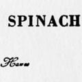 Fashion is Spinach