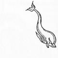 The Dolphin, A Journal of the Making of Books, Number 1