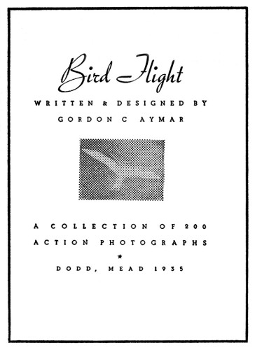 Bird Flight, A Collection of 200 Action Photographs