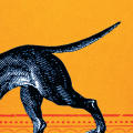 The Lost Dog