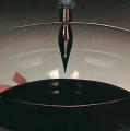 Twentieth Anniversary Celebration, April 1977, no. 66