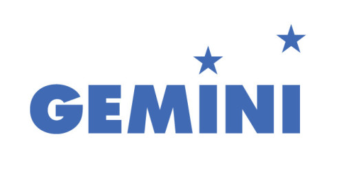 Gemini consulting