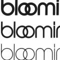 Bloomingdale's
