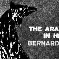 The Arabs in History