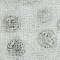 Fell’s United States Coin Book
