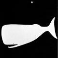 A Reader’s Guide to Herman Melville
