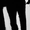 Who Walk in Darkness
