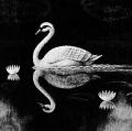 The Imagist Poem