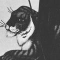 Plunkitt of Tammany Hall