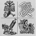 A Short History of Biology