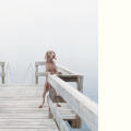 William Wegman: Dogs on Rocks