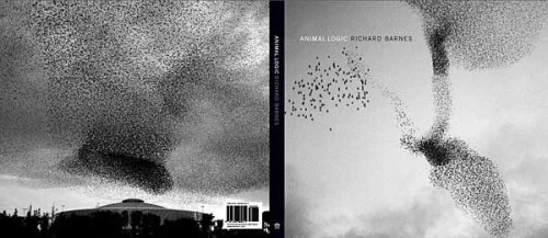 Animal Logic: Richard Barnes