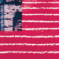 “Stars and Stripes” invitational exhibition & book