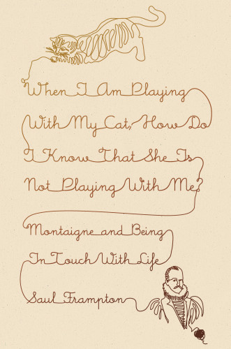 When I’m Playing With My Cat...