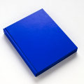 Yves Klein: With the Void, Full Powers