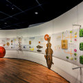 Our Global Kitchen: Food, Nature, Culture