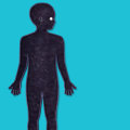 The Human Body