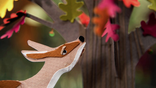 Paper to Plants