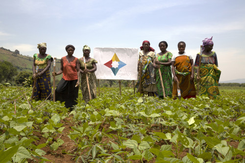 Asili: co-creating the future in the Democratic Republic of the Congo