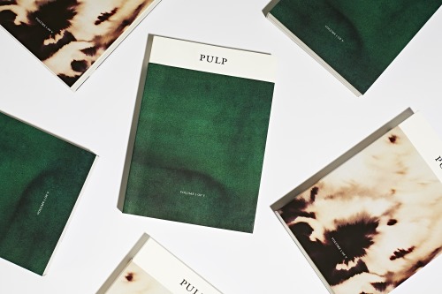 Pulp: A Short Biography of the Banished Book Vol. I of V