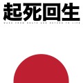 Japanese 2011 Tsunami