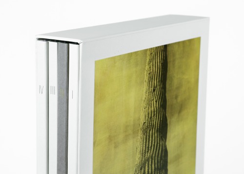 Jungjin Lee: Desert