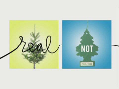 Herman Miller “Get Real” video