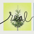 Herman Miller “Get Real” video